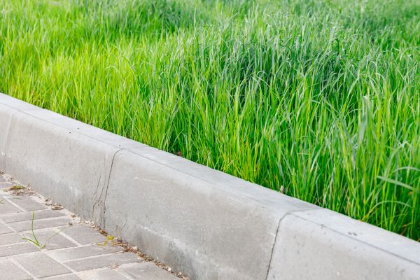 Cement Curbing Landscaping